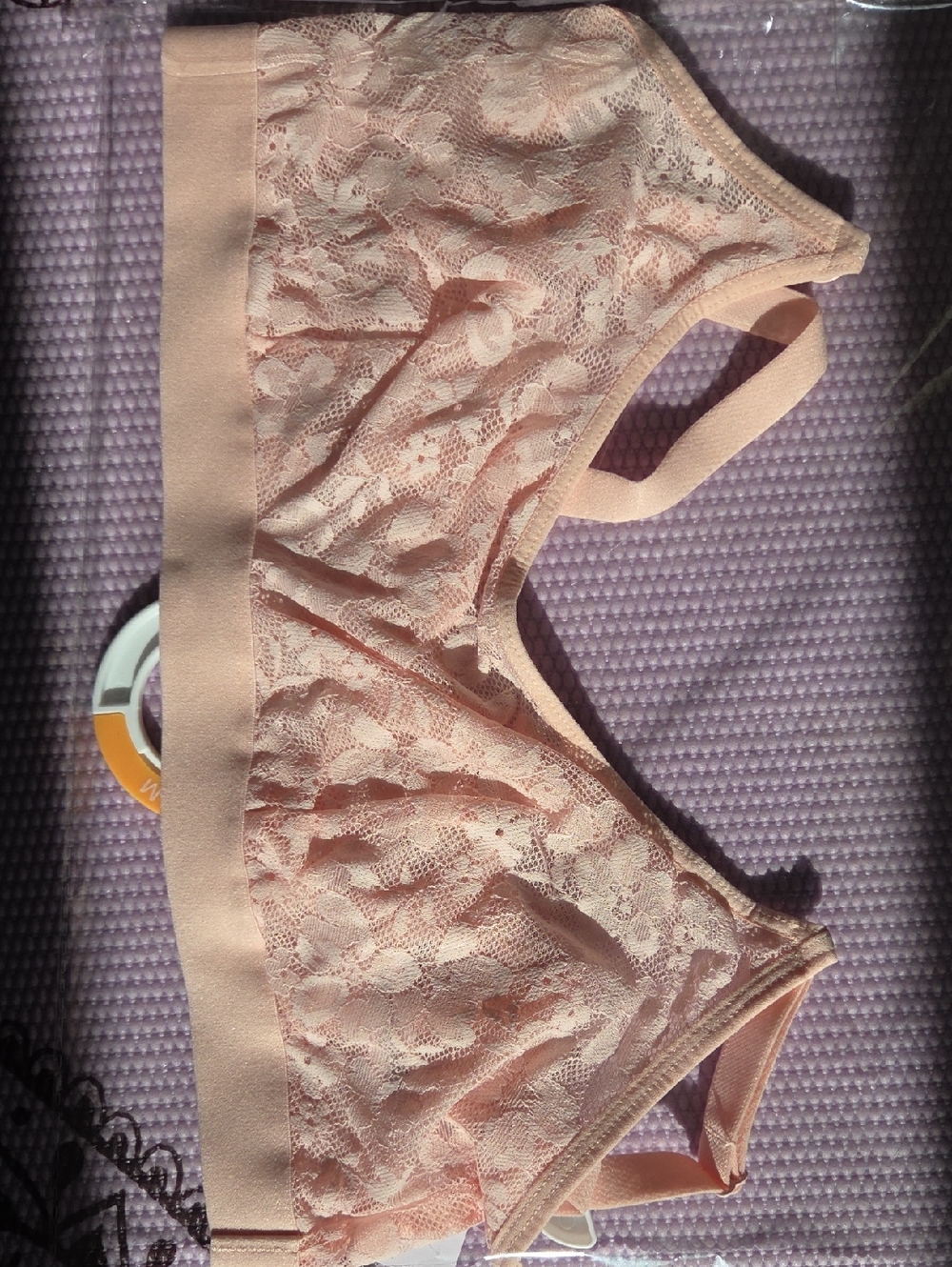 Auden Lace Bralette in Light Blush